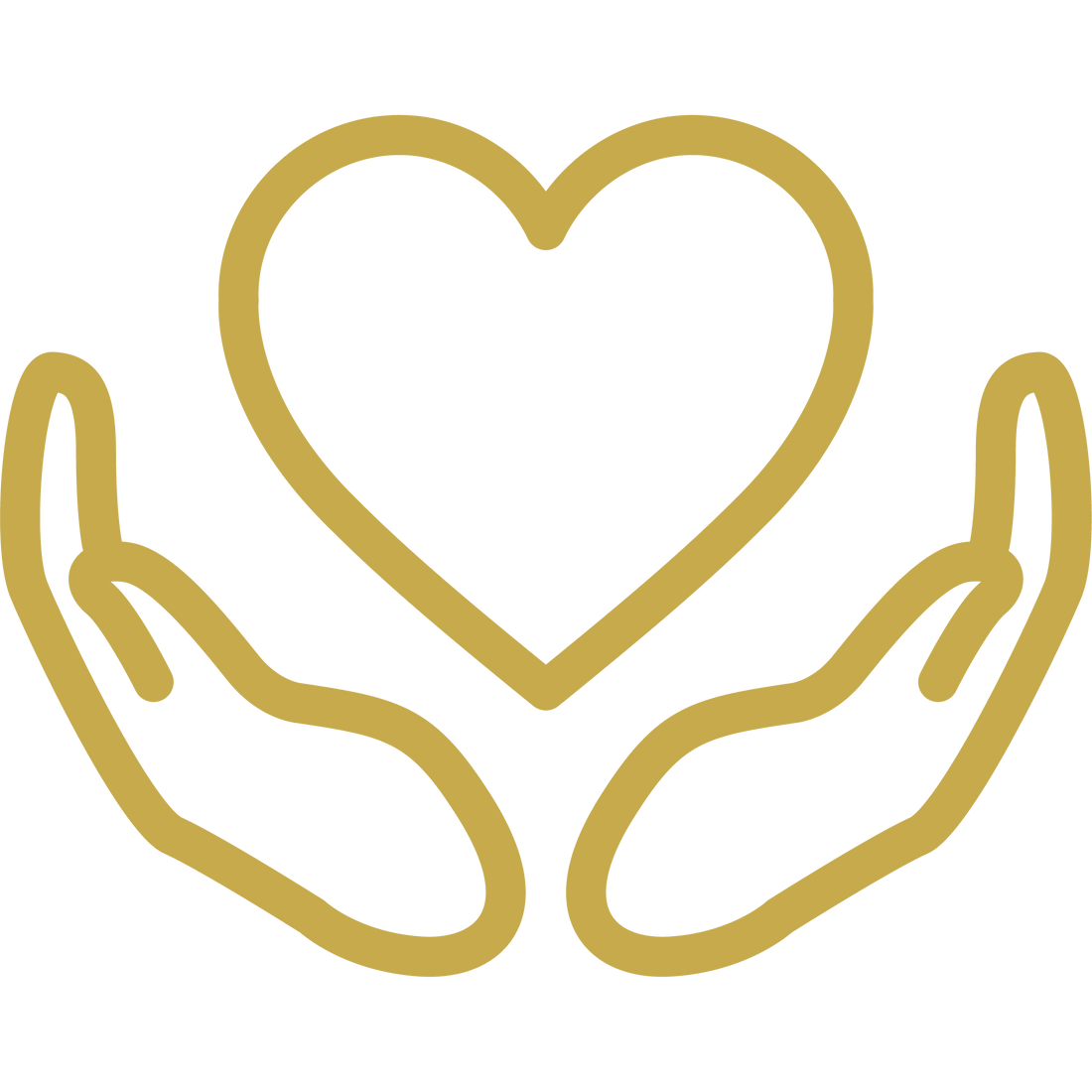 Wild Vibes Recurso 3.png__PID:a8d905f4-1d77-4fd1-9539-97d0f7c8162f