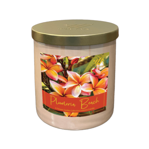 Plumeria Beach Soy & Coconut Candle - Wild Vibes Home & Body