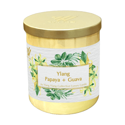 Ylang Papaya + Guava Coconut Soy Candle - Wild Vibes Home & Body